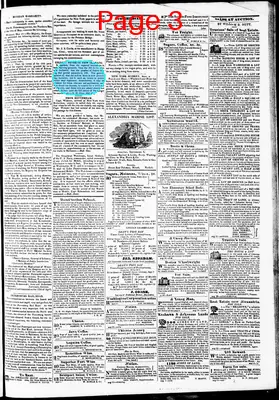 Page thumbnail for Phenix Gazette
