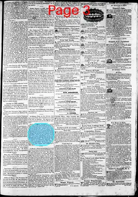 Page thumbnail for Phenix Gazette