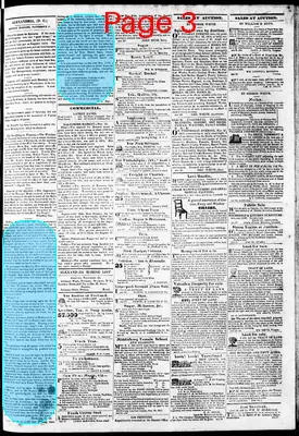 Page thumbnail for Phenix Gazette