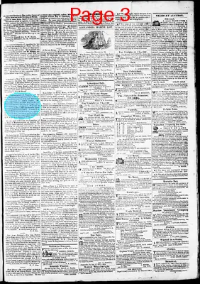 Page thumbnail for Phenix Gazette