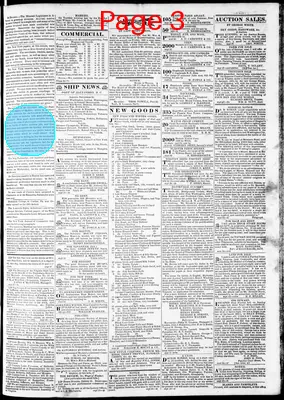 Page thumbnail for Alexandria Gazette