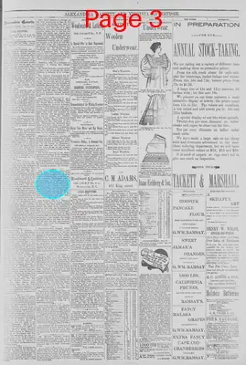Page thumbnail for Alexandria Gazette