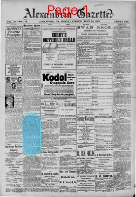 Page thumbnail for Alexandria Gazette
