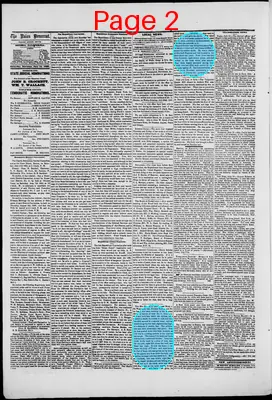 Page thumbnail for The Union Democrat
