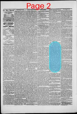 Page thumbnail for The Union Democrat