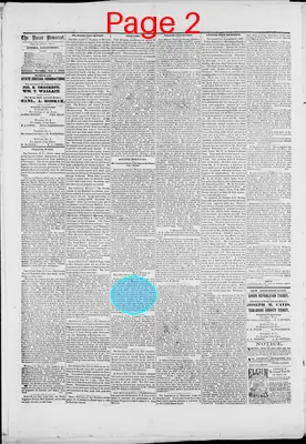 Page thumbnail for The Union Democrat