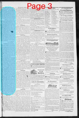 Page thumbnail for The Columbia Democrat