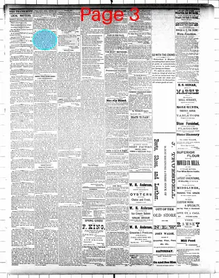 Page thumbnail for Mower County Transcript