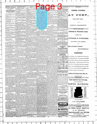 Page thumbnail for Mower County Transcript