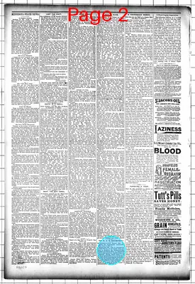 Page thumbnail for Mower County Transcript
