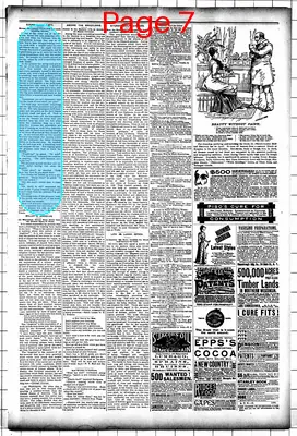 Page thumbnail for Mower County Transcript