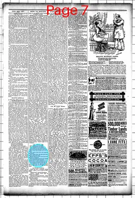 Page thumbnail for Mower County Transcript
