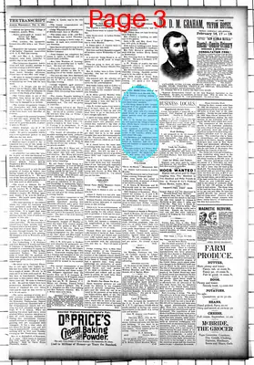 Page thumbnail for Mower County Transcript