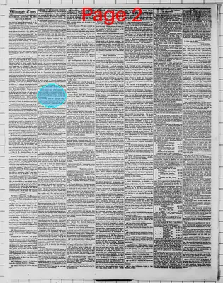 Page thumbnail for Minnesota Weekly Times