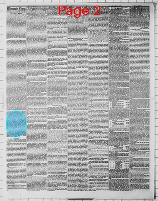 Page thumbnail for Minnesota Weekly Times