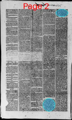 Page thumbnail for Lynchburg Star