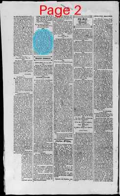 Page thumbnail for Lynchburg Star