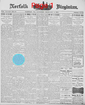 Page thumbnail for The Norfolk Virginian