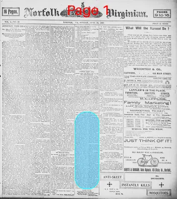 Page thumbnail for The Norfolk Virginian