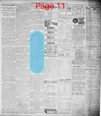 Page thumbnail for The Norfolk Virginian