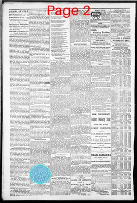 Page thumbnail for The Cincinnati Daily Star