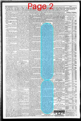 Page thumbnail for The Cincinnati Daily Star