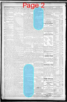 Page thumbnail for The Cincinnati Daily Star
