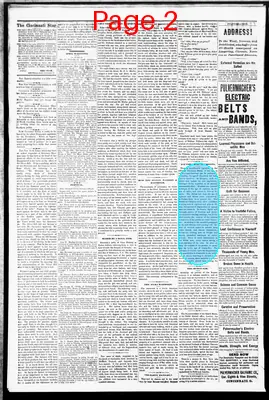 Page thumbnail for The Cincinnati Daily Star