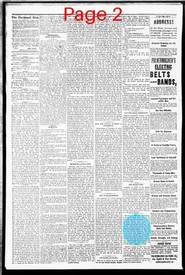 Page thumbnail for The Cincinnati Daily Star