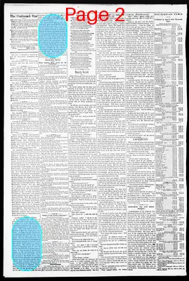 Page thumbnail for The Cincinnati Daily Star
