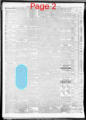 Page thumbnail for The Cincinnati Daily Star