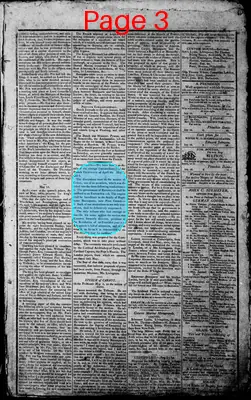 Page thumbnail for Norfolk Gazette And Publick Ledger