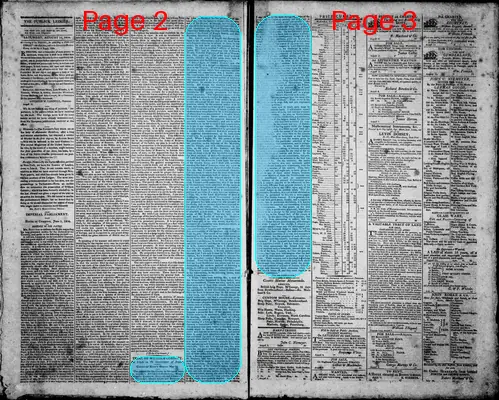 Page thumbnail for Norfolk Gazette And Publick Ledger