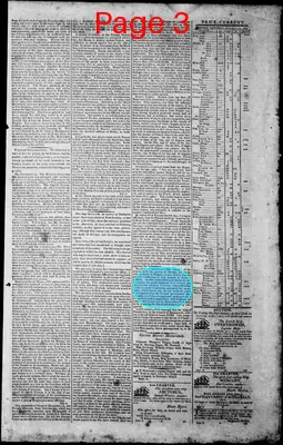 Page thumbnail for Norfolk Gazette And Publick Ledger