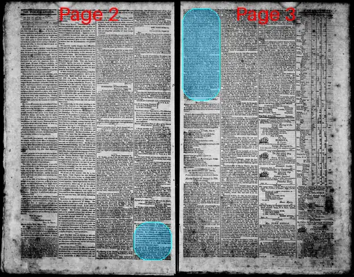 Page thumbnail for Norfolk Gazette And Publick Ledger