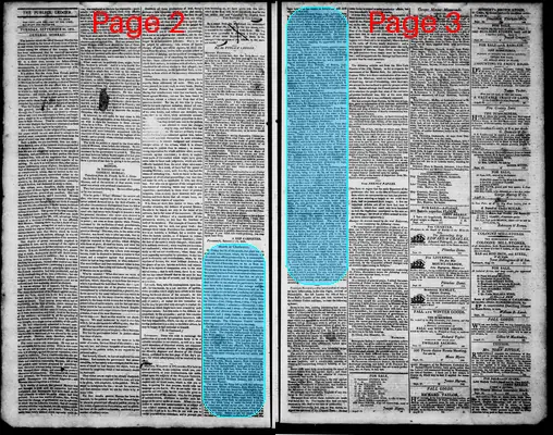 Page thumbnail for Norfolk Gazette And Publick Ledger