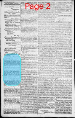 Page thumbnail for Norfolk Gazette And Publick Ledger
