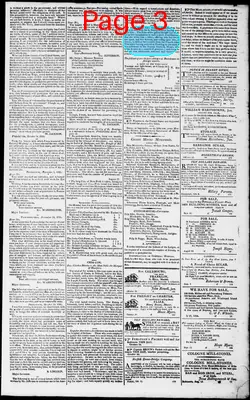 Page thumbnail for Norfolk Gazette And Publick Ledger