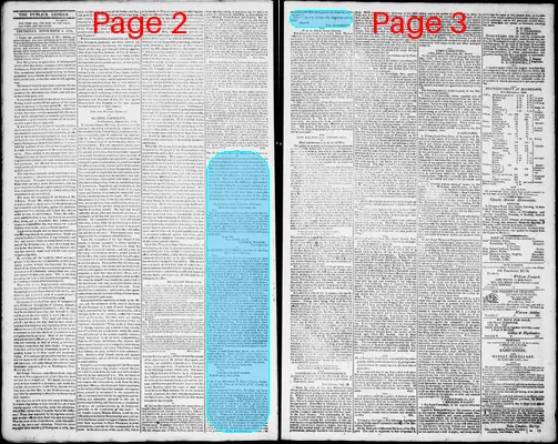 Page thumbnail for Norfolk Gazette And Publick Ledger