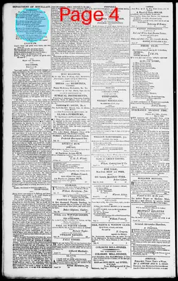 Page thumbnail for Norfolk Gazette And Publick Ledger