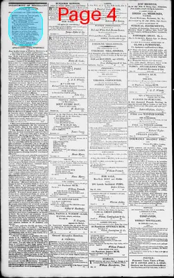Page thumbnail for Norfolk Gazette And Publick Ledger