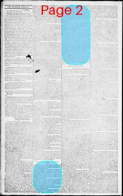 Page thumbnail for Norfolk Gazette And Publick Ledger