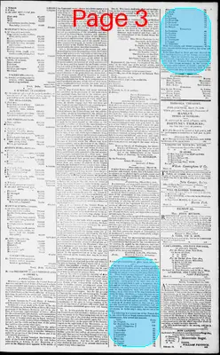 Page thumbnail for Norfolk Gazette And Publick Ledger