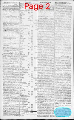 Page thumbnail for Norfolk Gazette And Publick Ledger