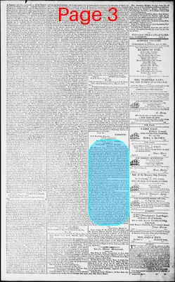 Page thumbnail for Norfolk Gazette And Publick Ledger