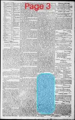 Page thumbnail for Norfolk Gazette And Publick Ledger