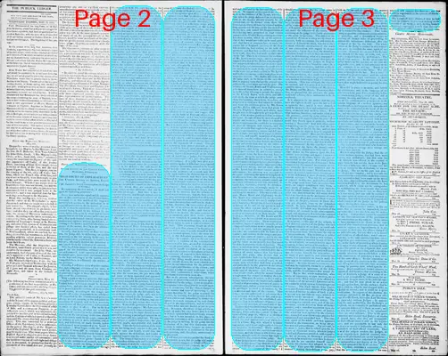 Page thumbnail for Norfolk Gazette And Publick Ledger