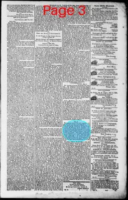 Page thumbnail for Norfolk Gazette And Publick Ledger