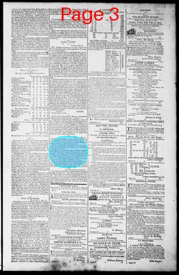 Page thumbnail for Norfolk Gazette And Publick Ledger