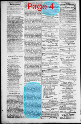 Page thumbnail for Norfolk Gazette And Publick Ledger